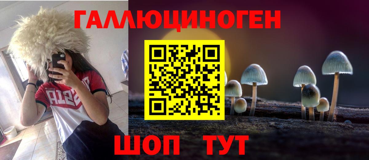 Галлюциногенные грибы Magic Shrooms  Вход с VPN  Алексеевка  Галлюциногенные грибы Psilocybine cubensis 