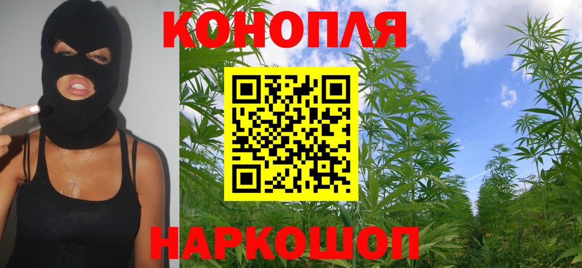 Шишки марихуана VHQ  Канабис Bruce Banner  Вход с VPN  Канабис OG Kush  Алексеевка  Конопля конопля 
